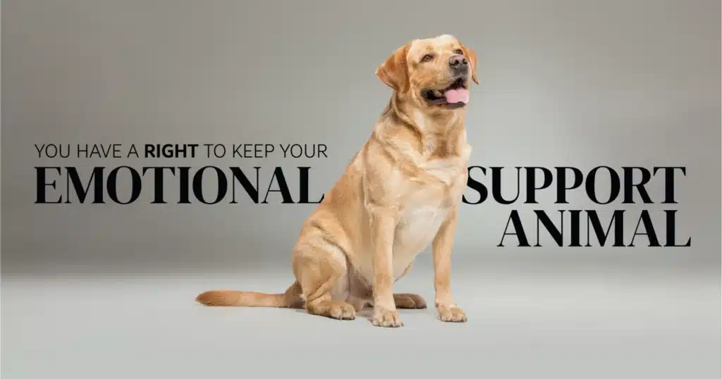 You have a right to keep your emotional support animal.
