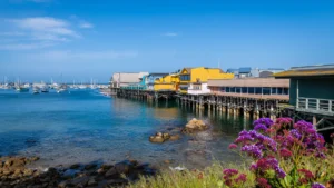 Landlord Tenant Attorney Monterey Park | Tenancy Lawyers