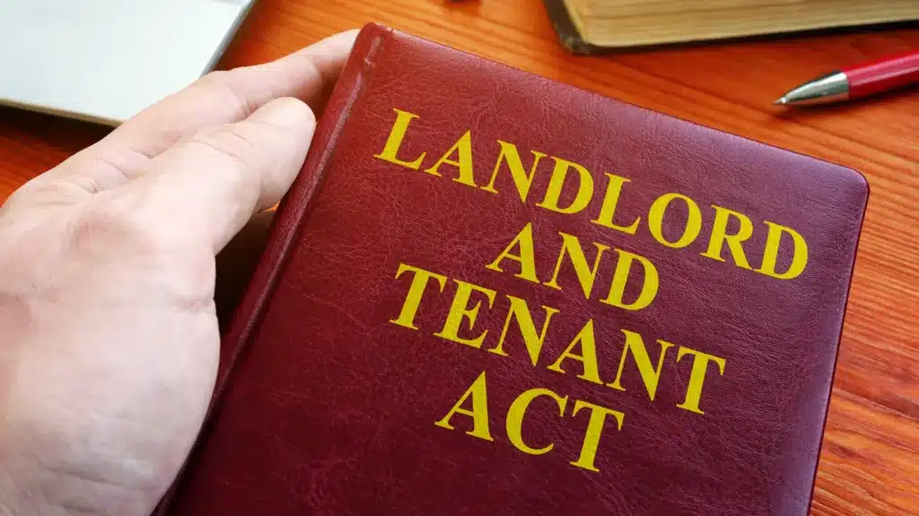 Apartment tenant experiencing retaliation after reporting mold, plumbing, and habitability issues