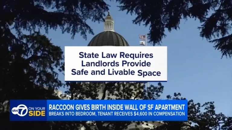 TV news graphic about California landlords' duty to provide safe housing, featuring a headline about a raccoon in a San Francisco apartment and tenant compensation.