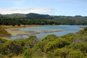 A serene body of water reflecting the sky, surrounded by lush greenery and distant hills.